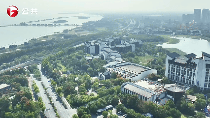 W020260204638248088640